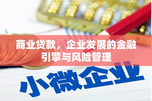 大城商业贷款，企业发展的金融引擎与风险管理