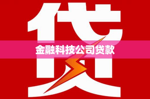 大城金融科技公司贷款