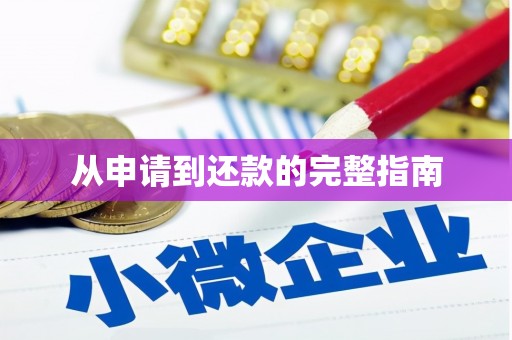 大城从申请到还款的完整指南