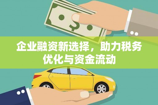 大城企业融资新选择，助力税务优化与资金流动