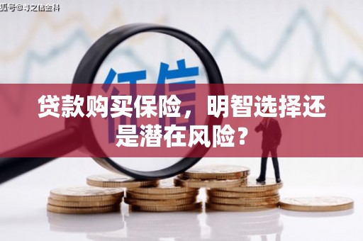 大城贷款购买保险，明智选择还是潜在风险？
