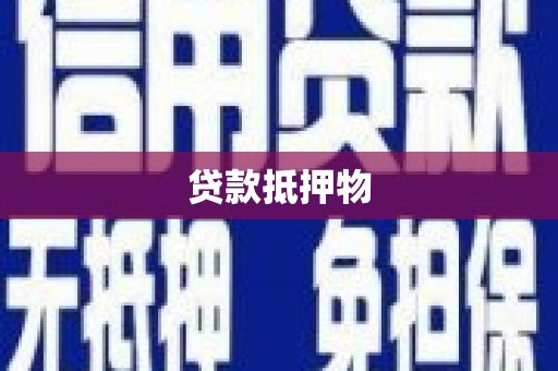 大城贷款抵押物