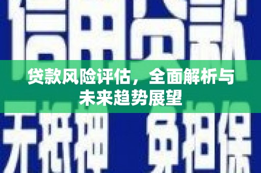 大城贷款风险评估，全面解析与未来趋势展望