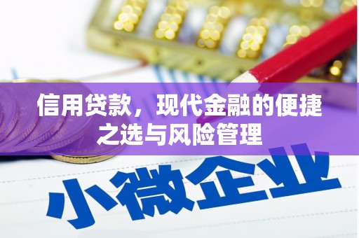 大城信用贷款，现代金融的便捷之选与风险管理