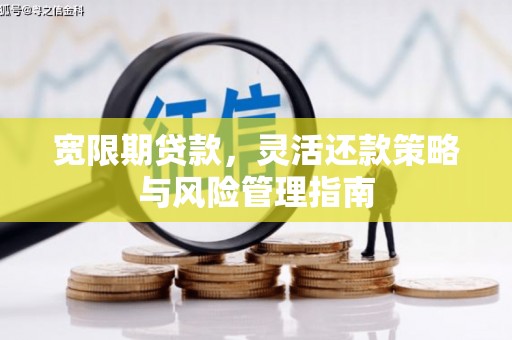 大城宽限期贷款，灵活还款策略与风险管理指南