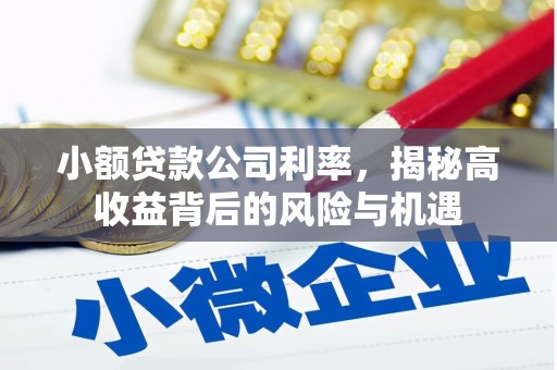 大城小额贷款公司利率，揭秘高收益背后的风险与机遇