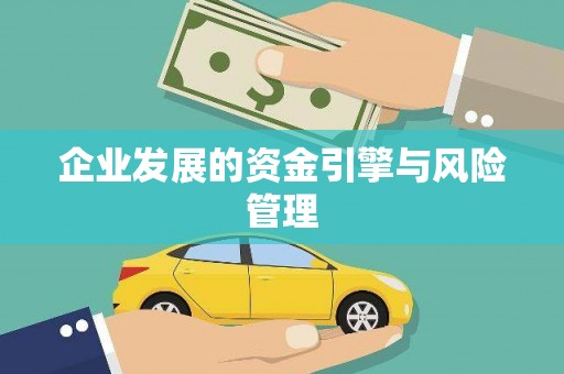 大城企业发展的资金引擎与风险管理