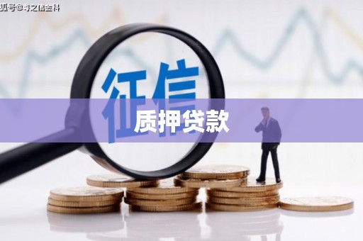 大城质押贷款