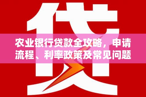大城农业银行贷款全攻略，申请流程、利率政策及常见问题解析