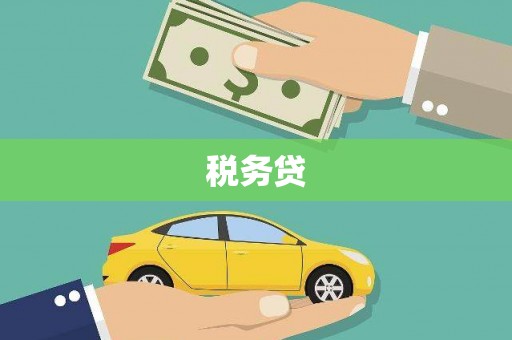 大城税务贷