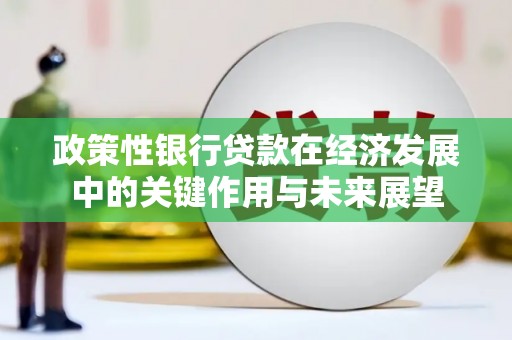 大城政策性银行贷款在经济发展中的关键作用与未来展望