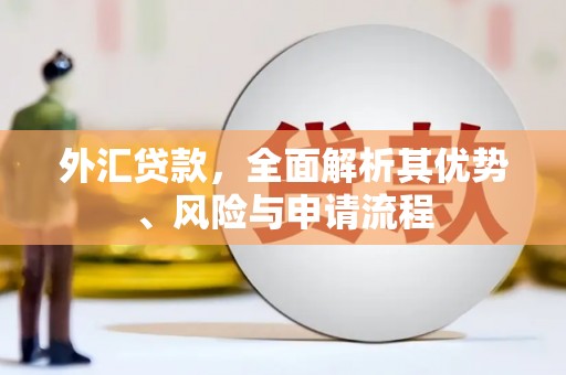 大城外汇贷款，全面解析其优势、风险与申请流程