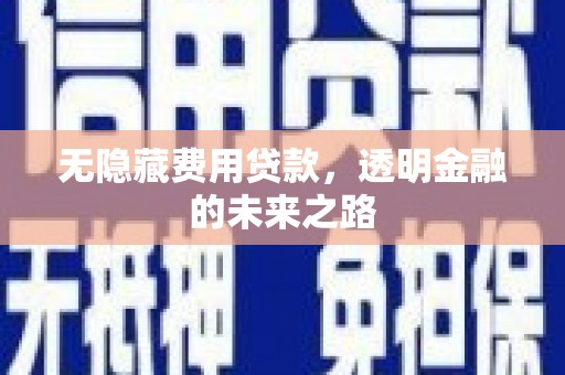 大城无隐藏费用贷款，透明金融的未来之路