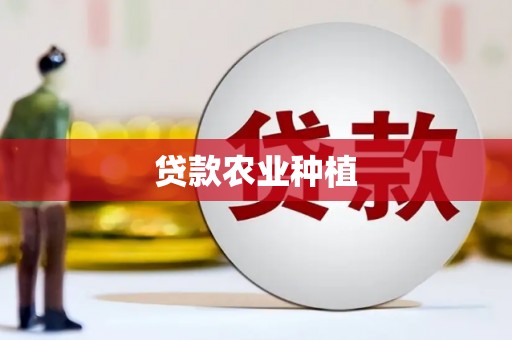大城贷款农业种植