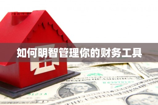 大城如何明智管理你的财务工具