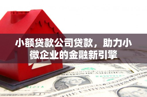 大城小额贷款公司贷款，助力小微企业的金融新引擎