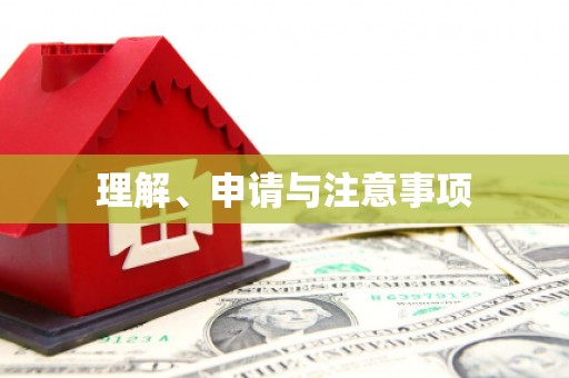 大城理解、申请与注意事项