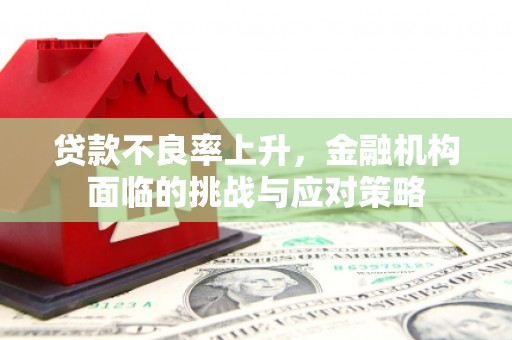 大城贷款不良率上升，金融机构面临的挑战与应对策略