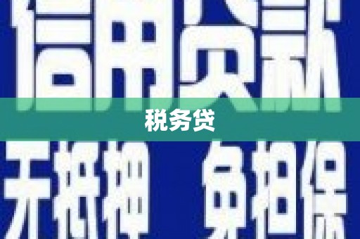 大城税务贷