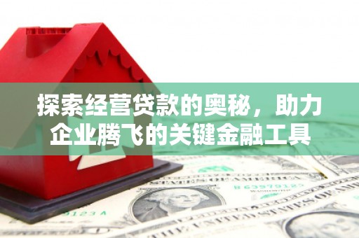 大城探索经营贷款的奥秘，助力企业腾飞的关键金融工具