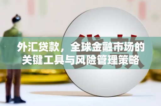 大城外汇贷款，全球金融市场的关键工具与风险管理策略