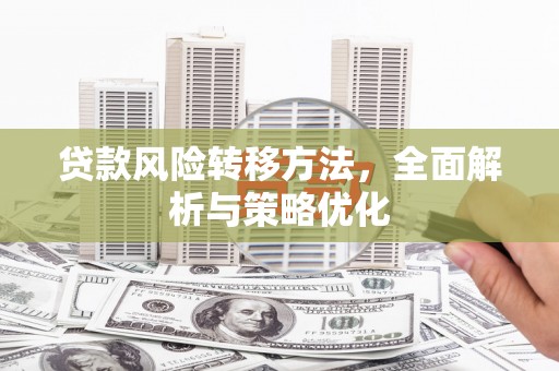 大城贷款风险转移方法，全面解析与策略优化