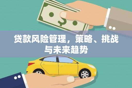 大城贷款风险管理，策略、挑战与未来趋势