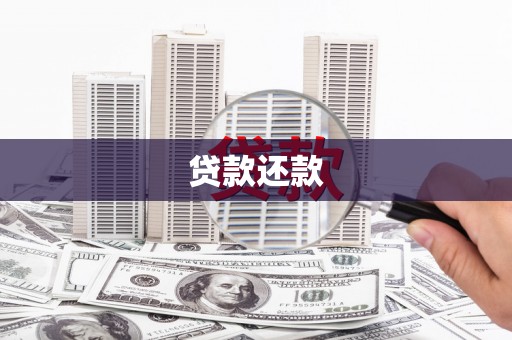 大城贷款还款