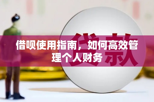 大城借呗使用指南，如何高效管理个人财务