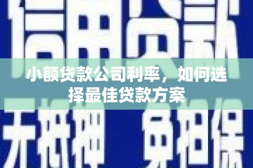 大城小额贷款公司利率，如何选择最佳贷款方案