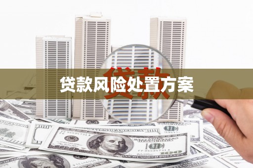 大城贷款风险处置方案