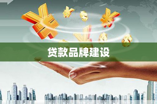 大城贷款品牌建设