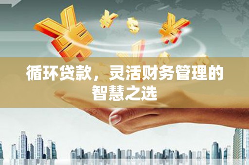 大城循环贷款，灵活财务管理的智慧之选