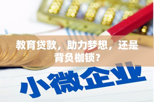 大城教育贷款，助力梦想，还是背负枷锁？