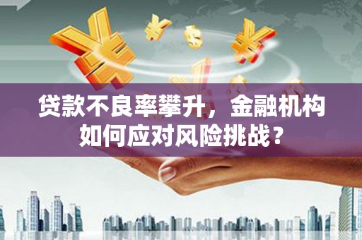 大城贷款不良率攀升，金融机构如何应对风险挑战？