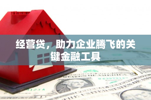 大城经营贷，助力企业腾飞的关键金融工具