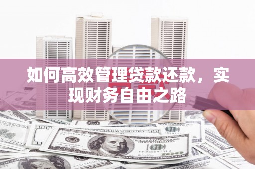 大城如何高效管理贷款还款，实现财务自由之路