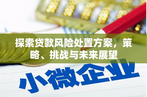 大城探索贷款风险处置方案，策略、挑战与未来展望