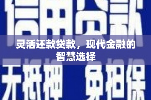 大城灵活还款贷款，现代金融的智慧选择