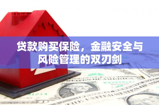 大城贷款购买保险，金融安全与风险管理的双刃剑