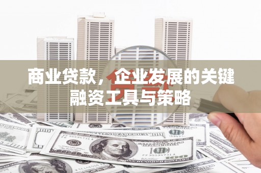 大城商业贷款，企业发展的关键融资工具与策略