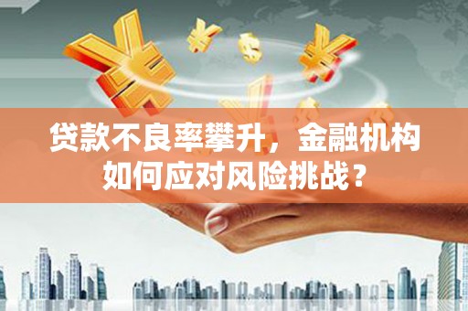 大城贷款不良率攀升，金融机构如何应对风险挑战？