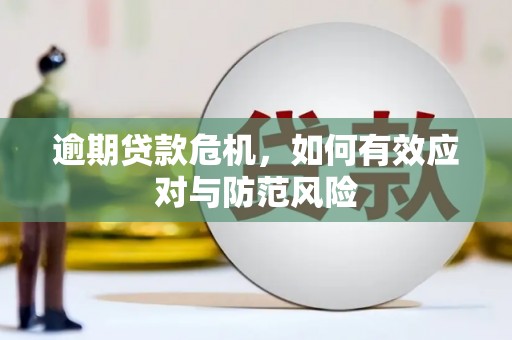 大城逾期贷款危机，如何有效应对与防范风险
