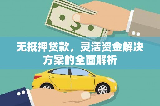 大城无抵押贷款，灵活资金解决方案的全面解析