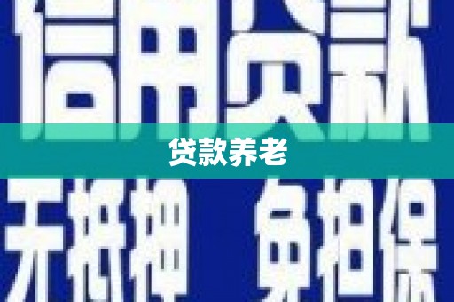 大城贷款养老