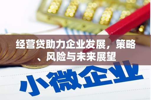 大城经营贷助力企业发展，策略、风险与未来展望