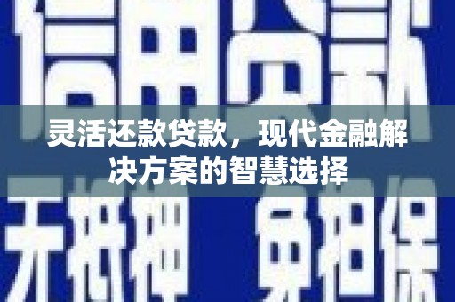 大城灵活还款贷款，现代金融解决方案的智慧选择