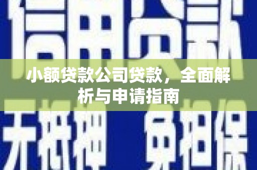 大城小额贷款公司贷款，全面解析与申请指南