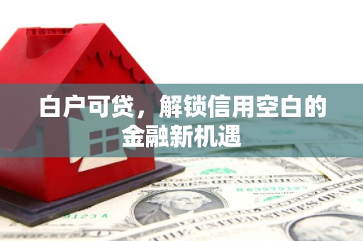 大城白户可贷，解锁信用空白的金融新机遇