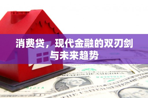 大城消费贷，现代金融的双刃剑与未来趋势